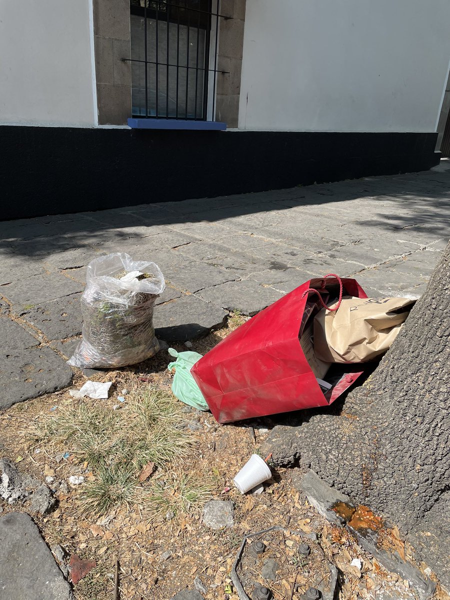 María Balmori tweet media