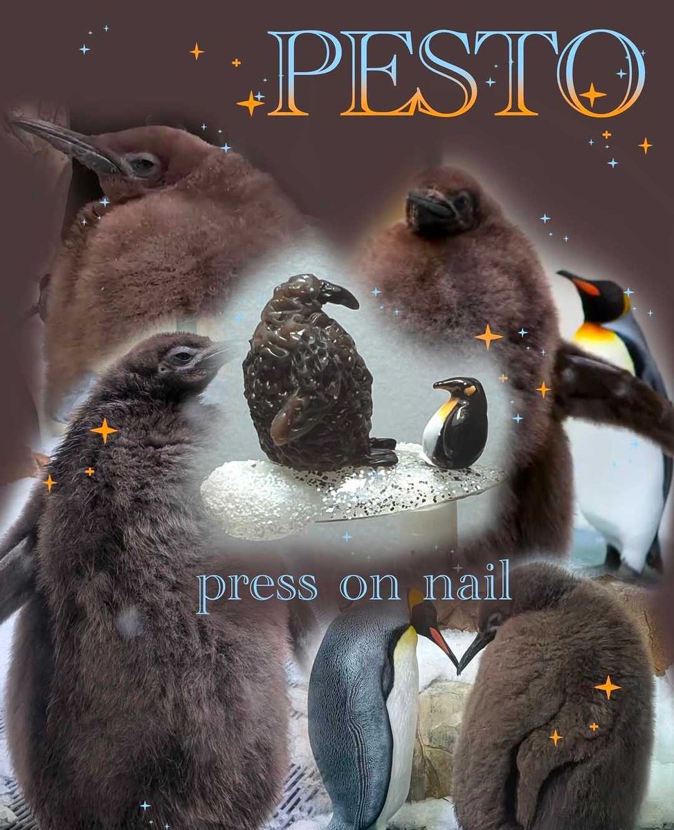 BİG CRYPTO tweet media