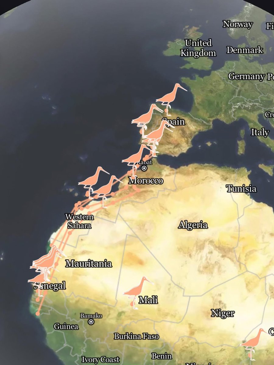 VWG MiddenOverijssel tweet media