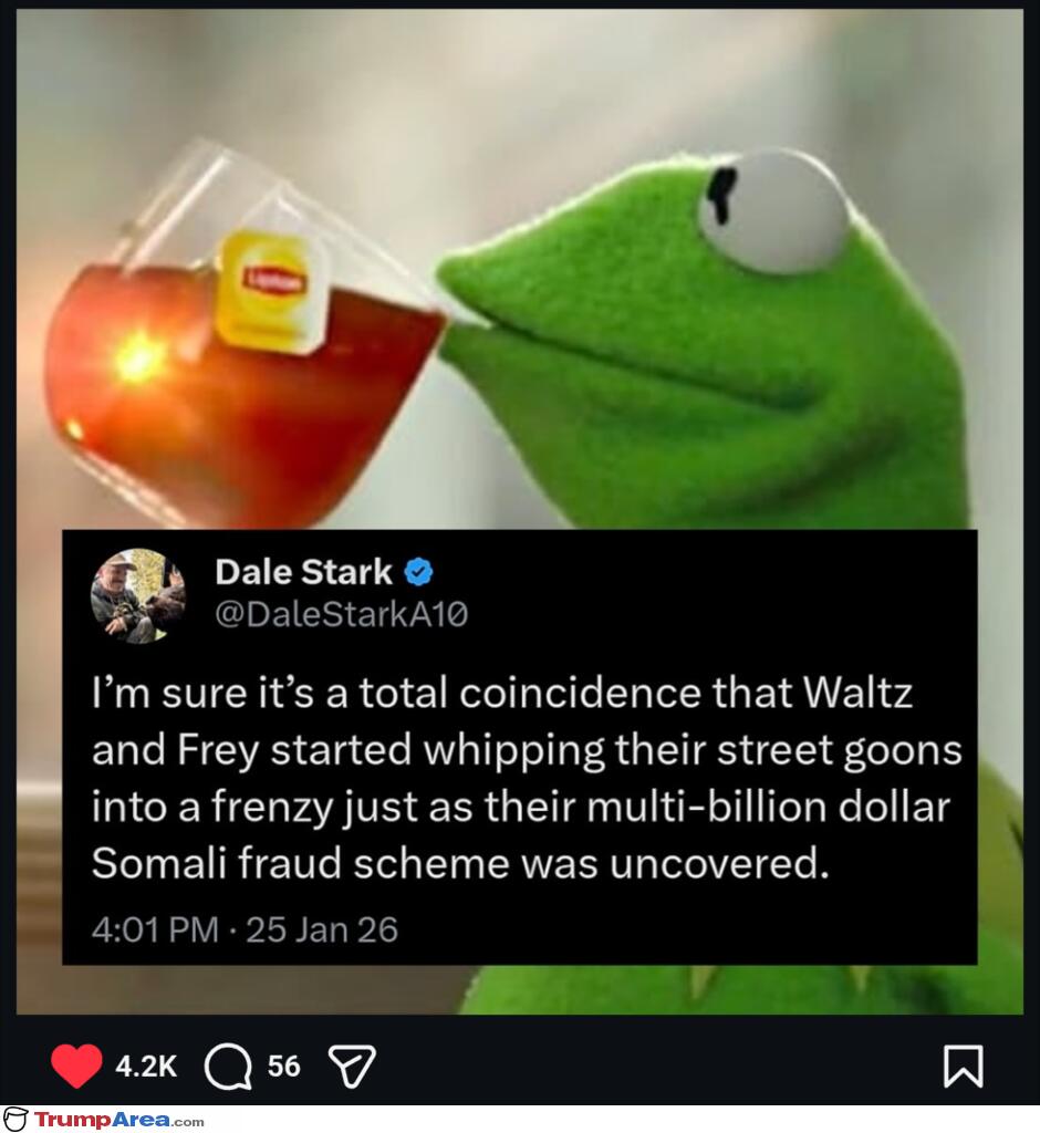 DON'T BE A PANICAN tweet media