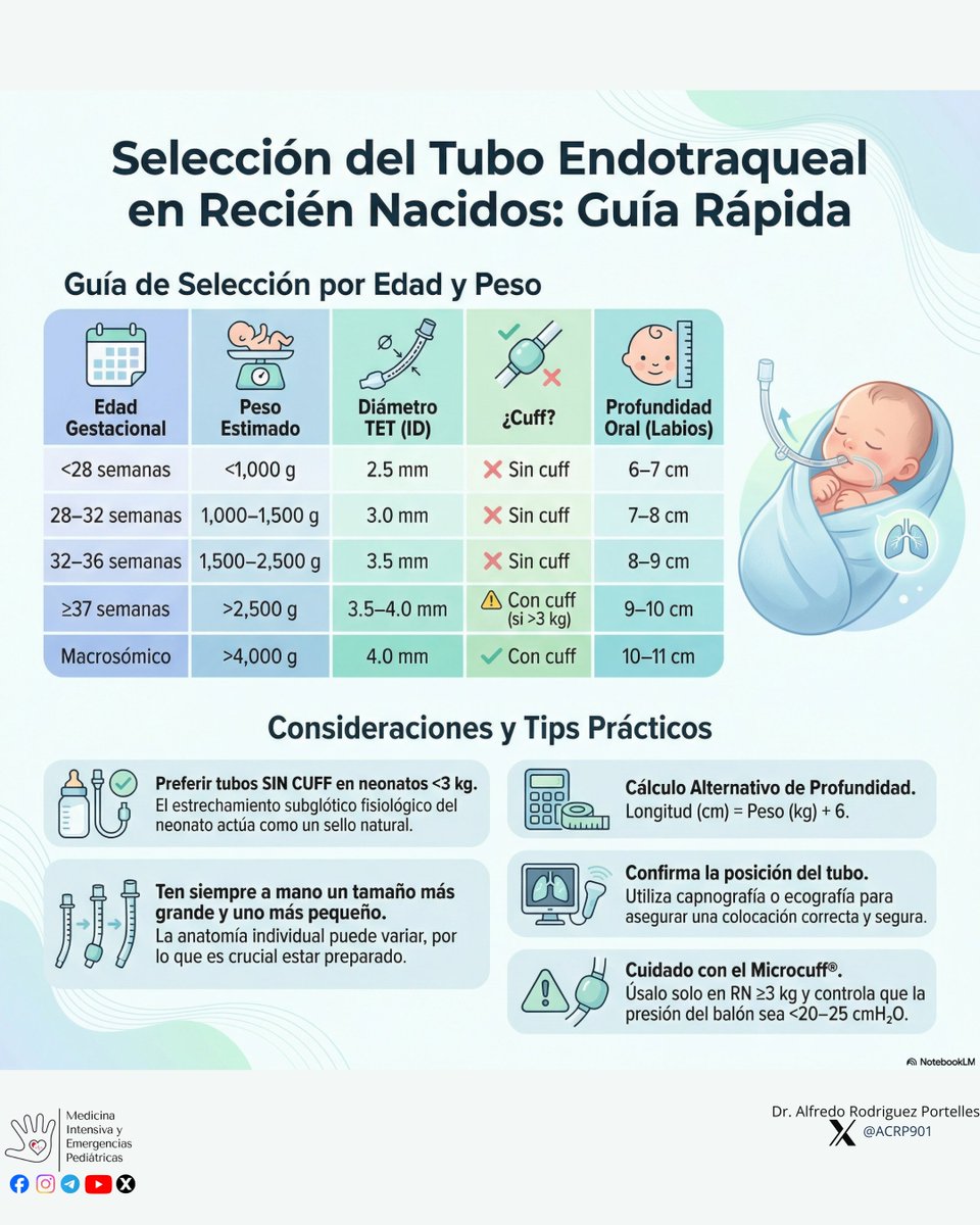 MedIntPed's tweet photo. Selección de Tubo Endotraqueal en Recién nacidos 

Medicina Intensiva y Emergencias Pediátricas 

#Pediatria #medicinacritica #PedsICU #pediatrics https://t.co/moPhrvhQ8b