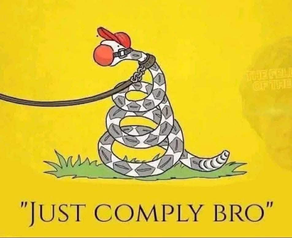 Joshua Scott Free tweet media