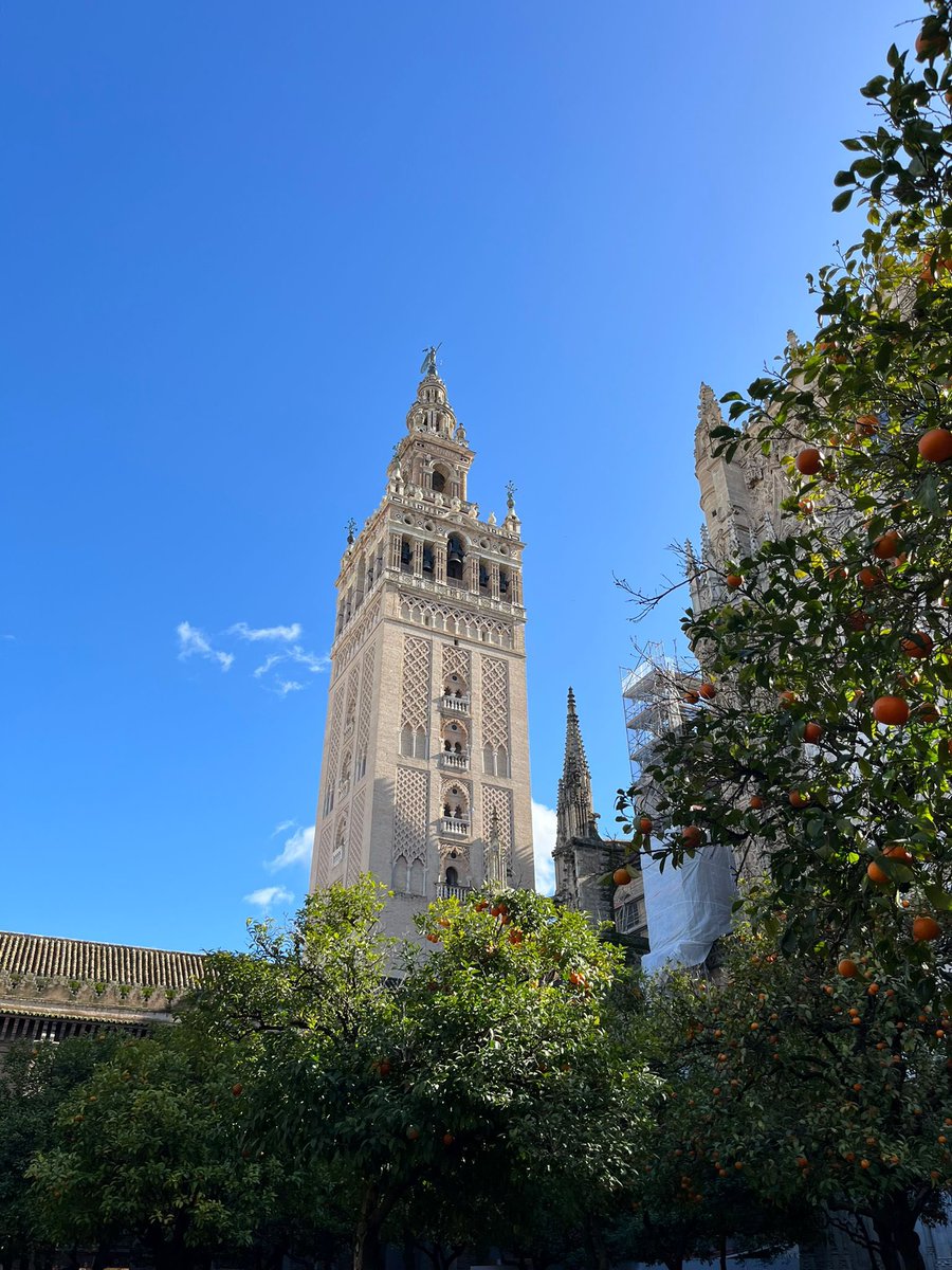 Hermandad San Benito tweet media