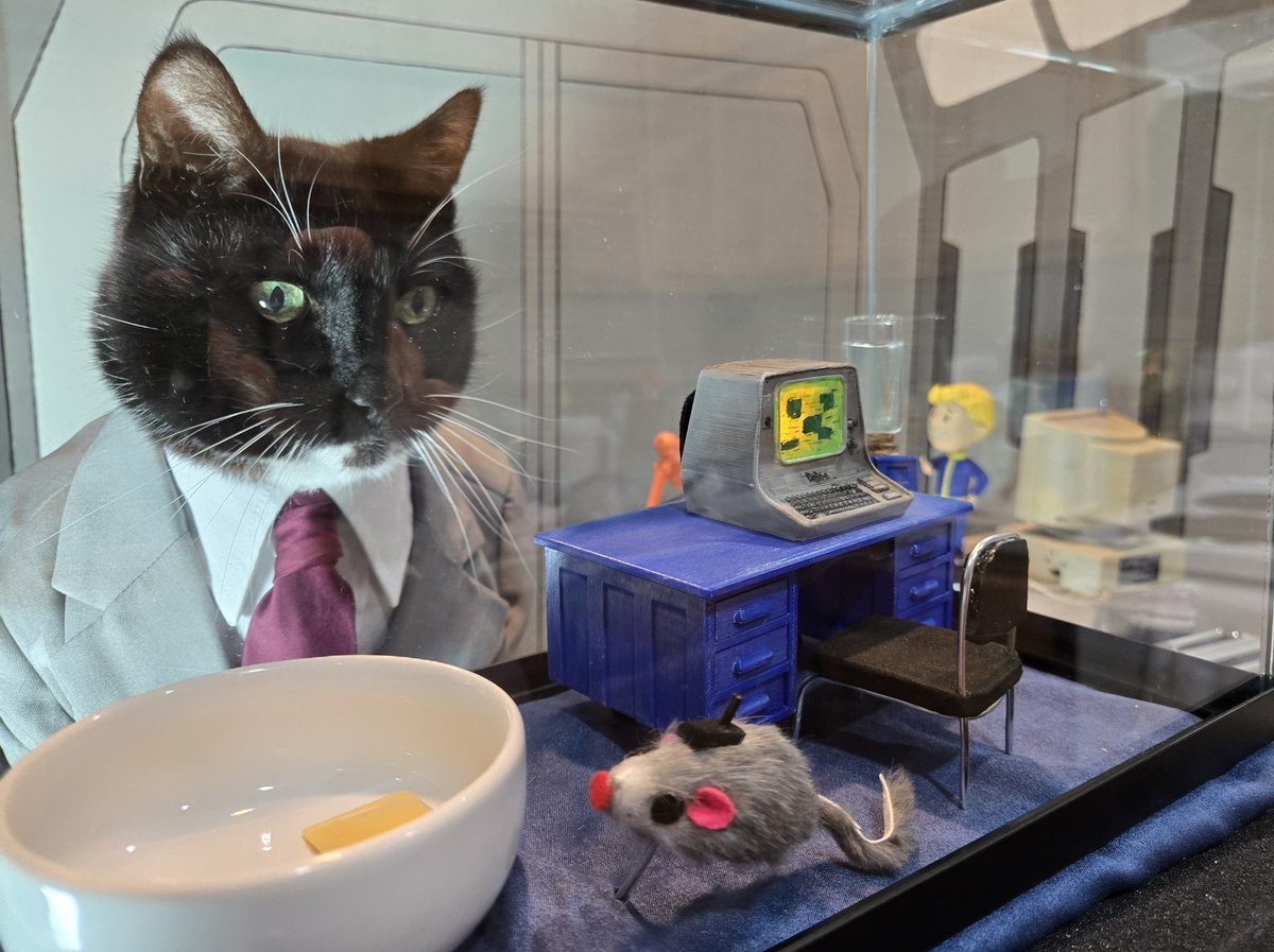 Cat Cosplay tweet media