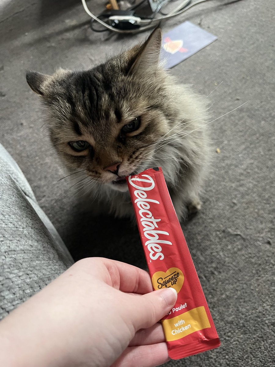 lily ⭐️ seeing ari! tweet media