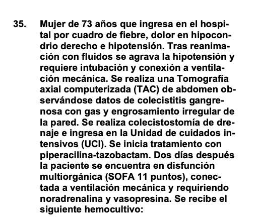 Tommy Chavero tweet media