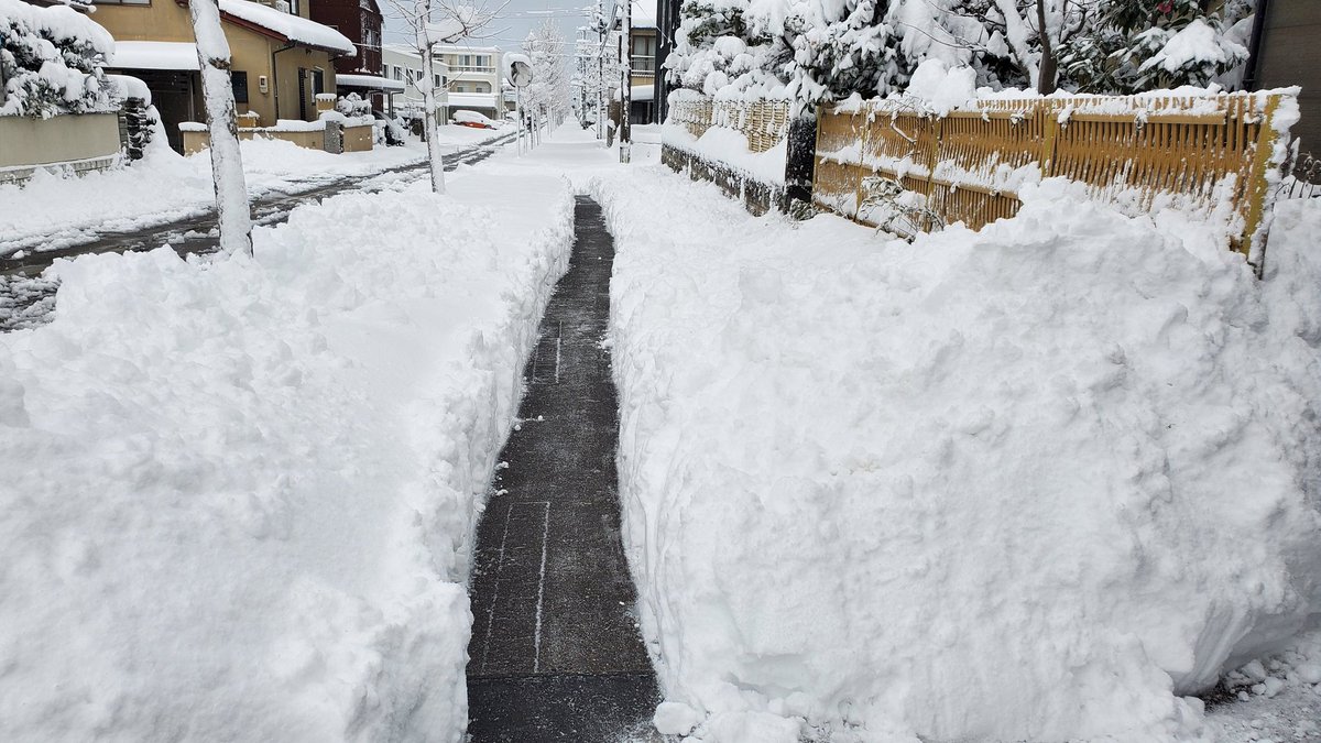 Tetsu113's tweet photo. 最近流行りの雪式リアウイング🏎️カッコいい？雪かきしました🌨️ https://t.co/4OAdYBJ6me