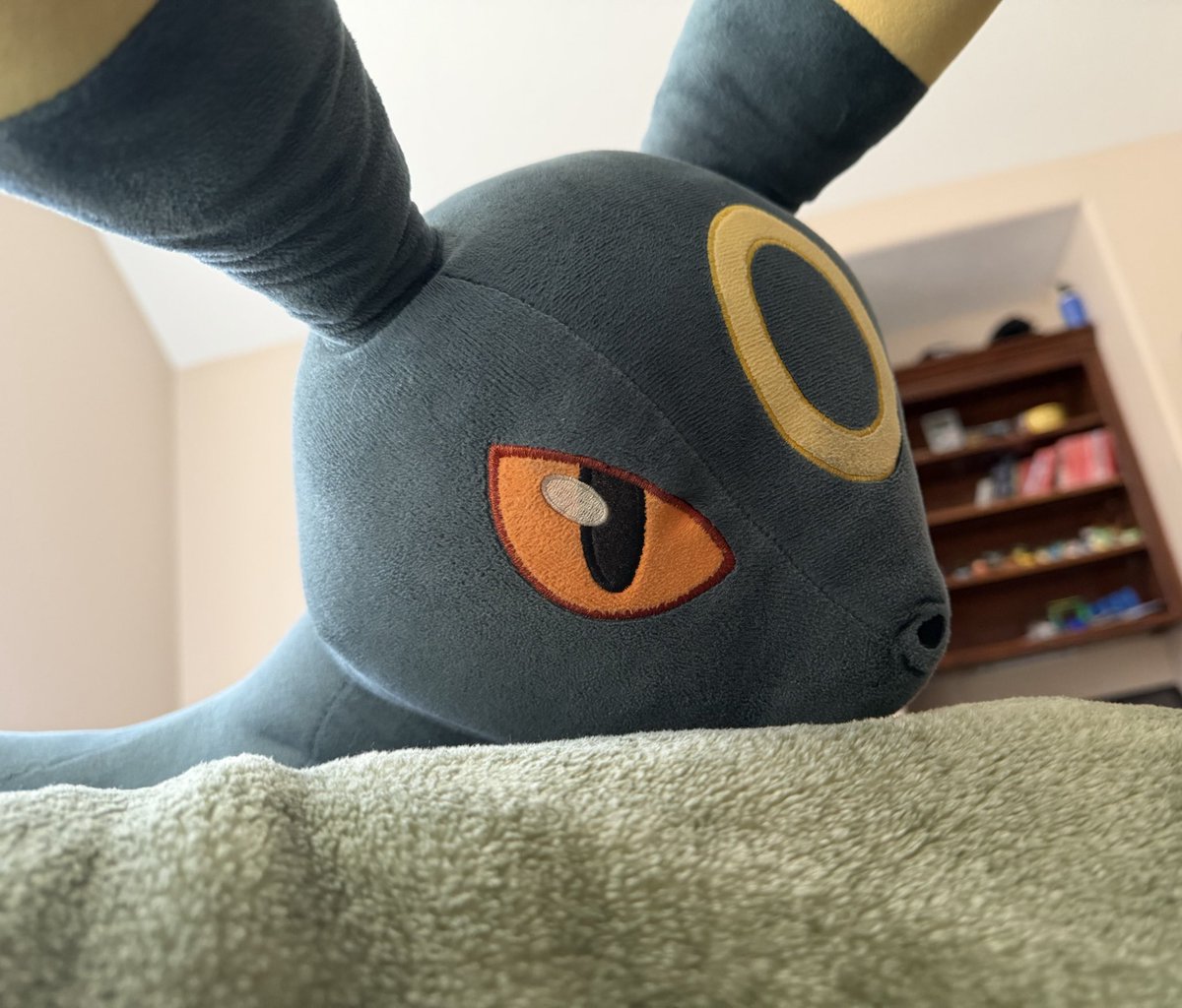 シンダリッテン tweet media