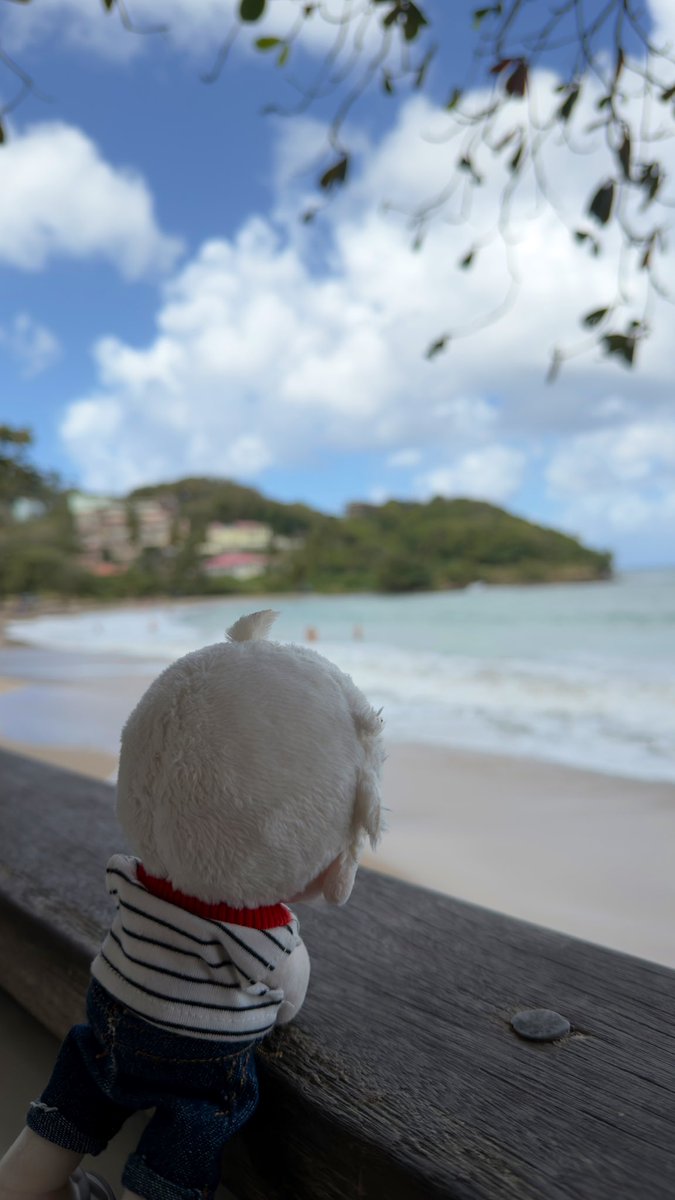 sunny in #APRILUS szn 🐦‍⬛ tweet media