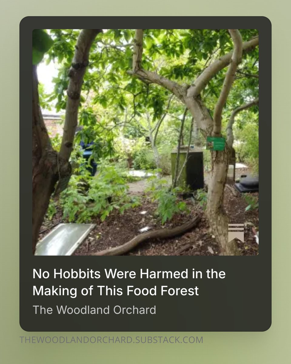 A few thoughts from my recent visit to the RISC food forest in Reading, UK.

A food forest in a very unusual, perhaps unique, location.

open.substack.com/pub/thewoodlan…