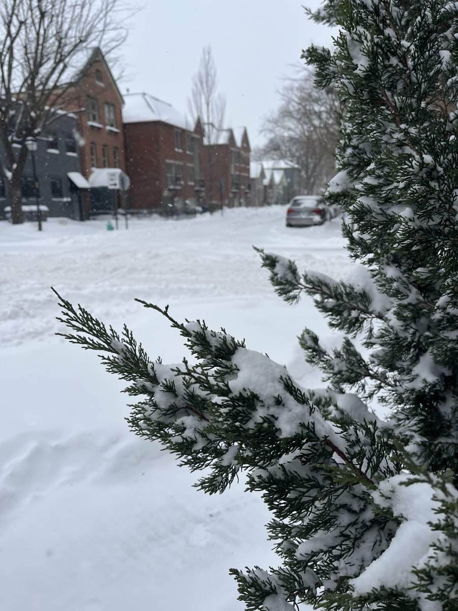 American Red Cross (Indiana Region) tweet media