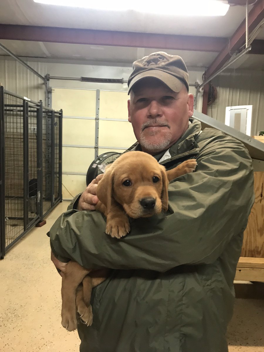 We are starting to run low on propane for our generator for the puppy building. If anyone knows someone who can help I would appreciate it. I can’t get anyone to answer at our normal provider. Picture for reference haha