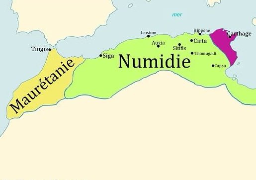 Tactique DZ 🇩🇿 tweet media