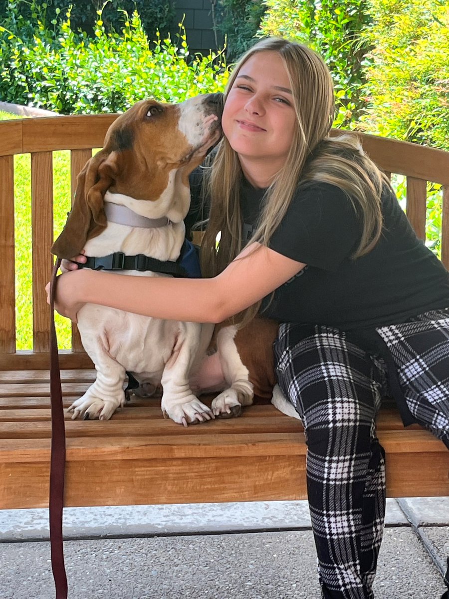 ⏰ Only a few days left to register for Kidz Korner on January 31st! ✨Free Event✨ hospicesj.org/services/grief…