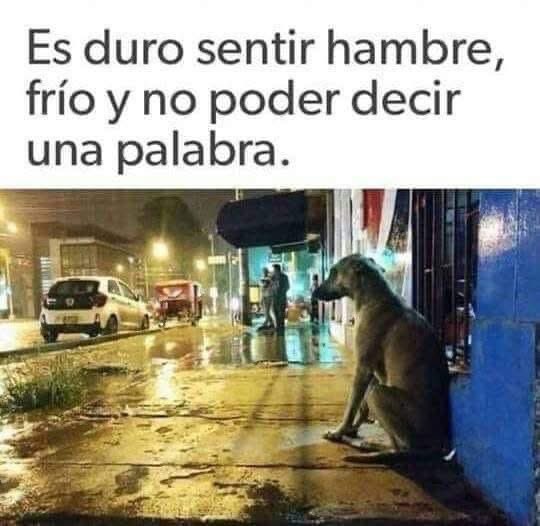 EnsedeCiencia's tweet image. 🥺