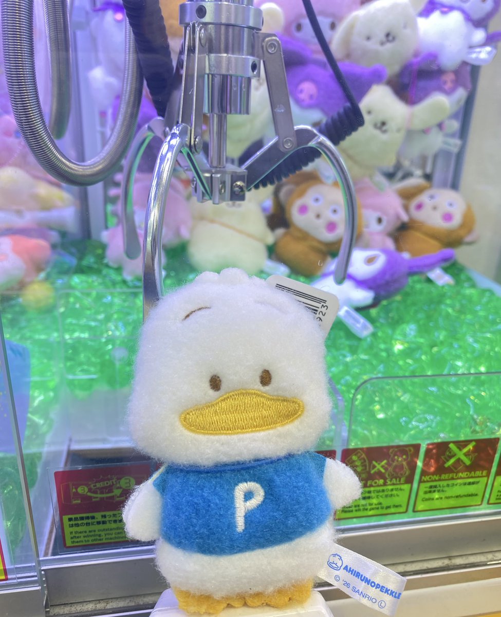 昨日生まれたよ💓新宿にて ぺったんこで、可愛い🩷 #あひるのペックル