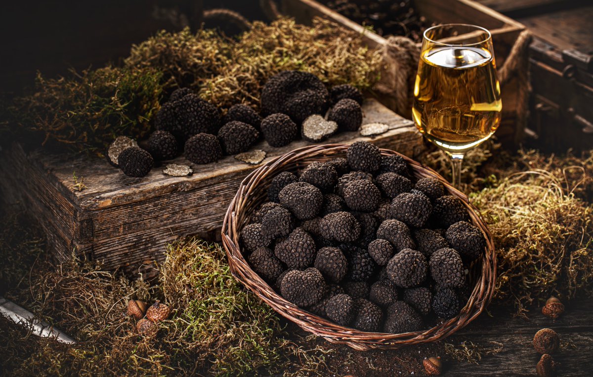 El Diario de Huesca tweet media