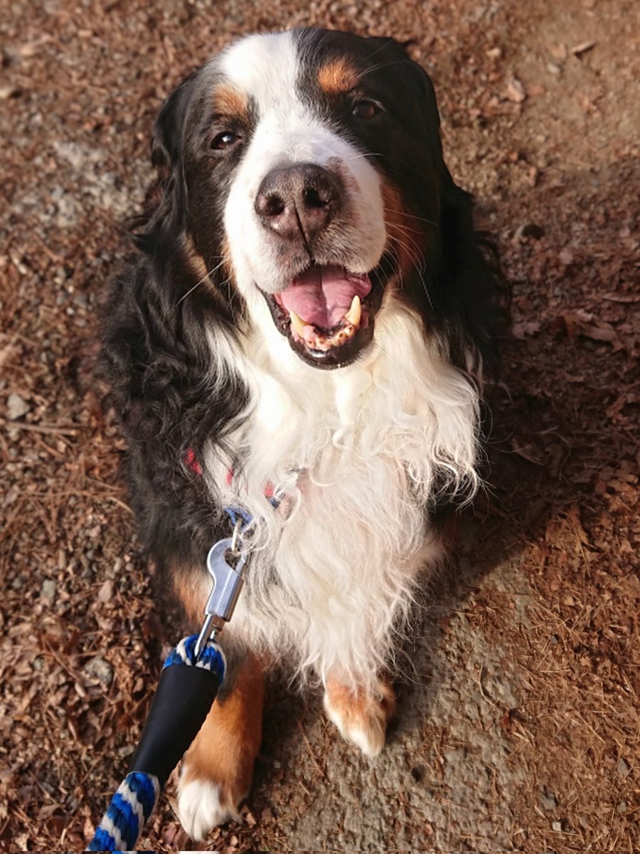 朝だね、おはよう

20220127