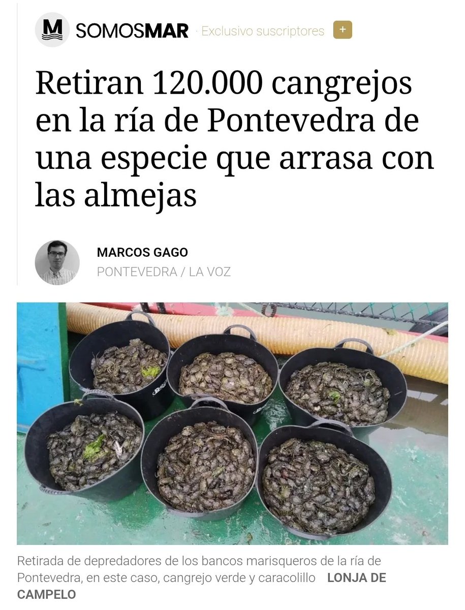 Curioso que non vexamos peligro algún en Altri, nin en celulosas, nin na falta de depuración e depuradoras de augas urbanas e industriais, nin que os ríos baixen secos ou sin vida ás rías, pero vexamos esto.