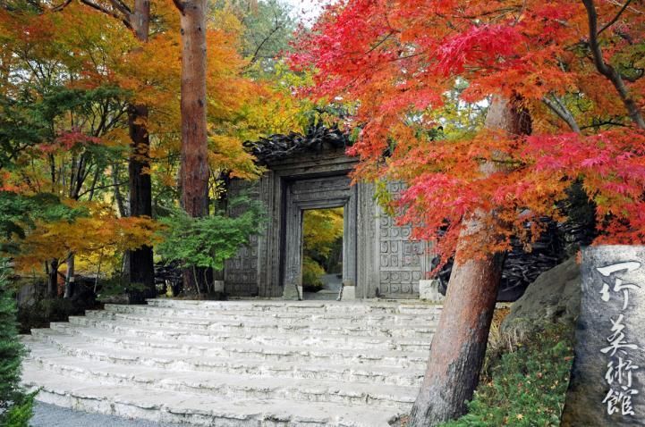 一生に一度は"体験"したい日本の美術館

【鹿児島】霧島アートの森
【大分県】大分県立美術館
【福岡県】九州国立博物館
【長崎県】長崎県美術館
【愛媛県】坂の上の雲ミュージアム
【香川県】地中美術館
【香川県】豊島美術館
【香川県】李禹煥美術館
【徳島県】大塚国際美術館
【広島県】下瀬美術館