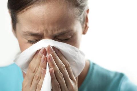 Researchers grew nasal tissue in a lab to unlock clues about how your body battles the common cold. tinybfs.com/t/7uuUYf