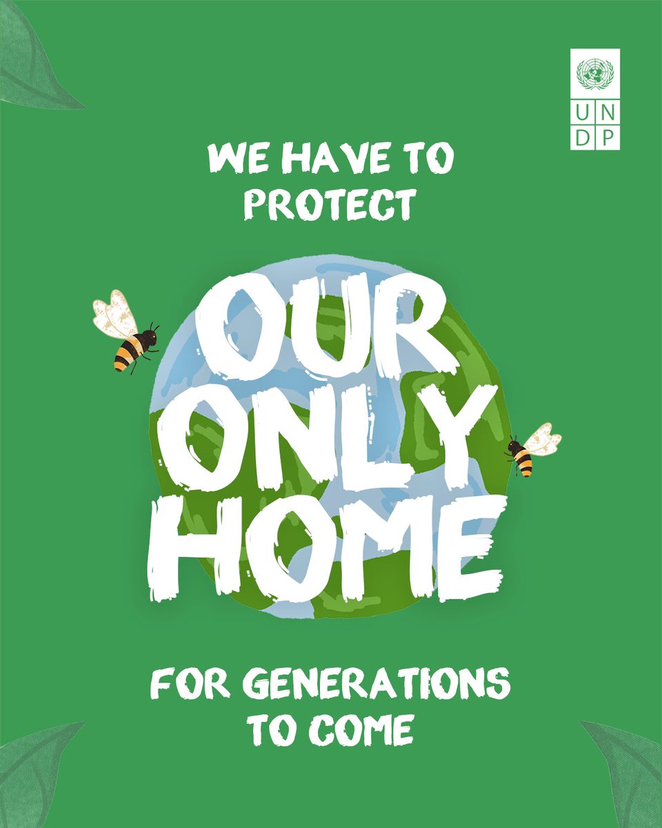 UN Development tweet media