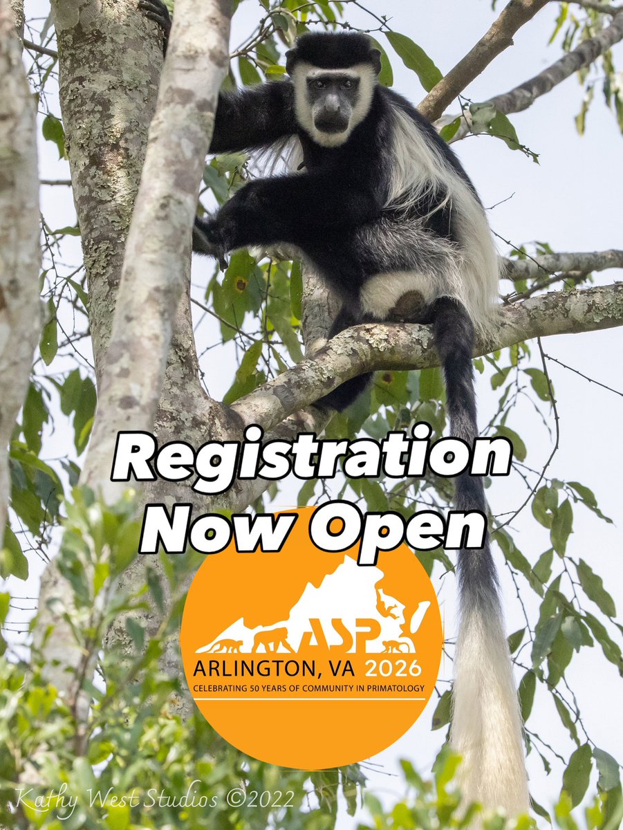 AmSoc Primatologists tweet media