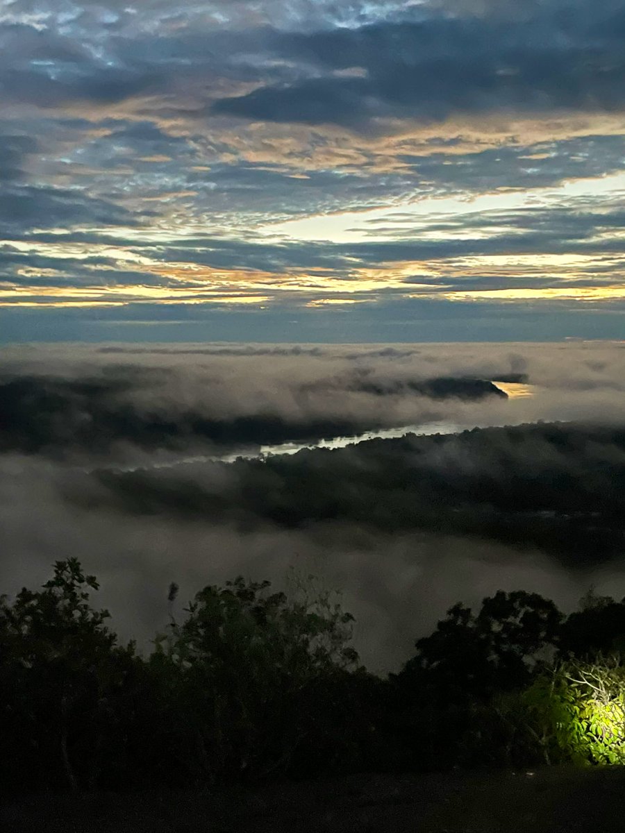 Anamariarmr's tweet image. Creo que no nos detenemos a pensar lo suficiente en la increíble geografía de este país 💚

Aquí los Cerros de Mavicure en Guainía