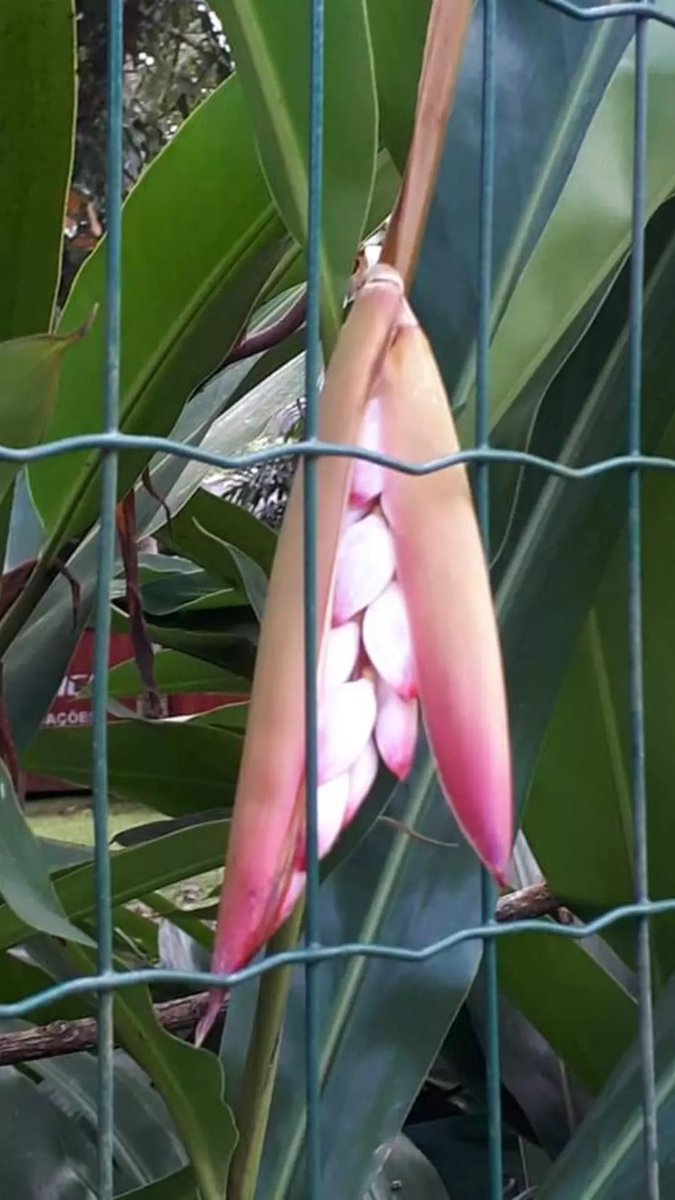 Mira ⁦<a href="/Tanapujals/">Tana Pujals</a>⁩