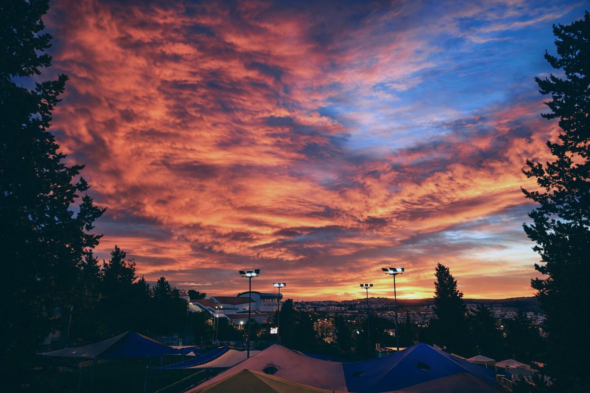 ДуркаLogistic tweet media