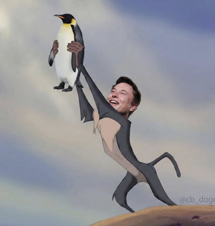 MoneyLord's tweet photo. King of memes

$PENGUIN do fly https://t.co/QGHFuIbc9Q