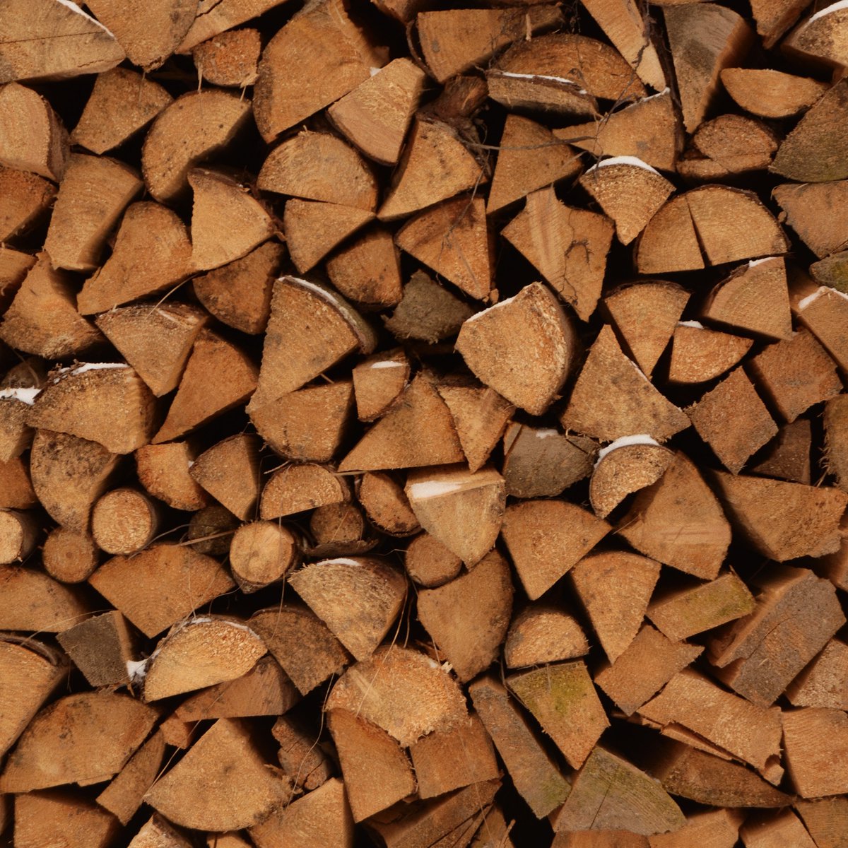 Siuslaw Nat'l Forest tweet media