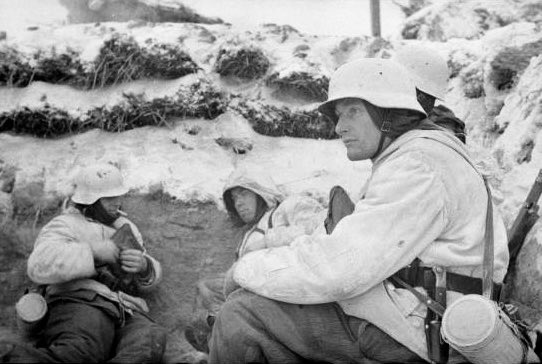 StalingradDailyDiary tweet media