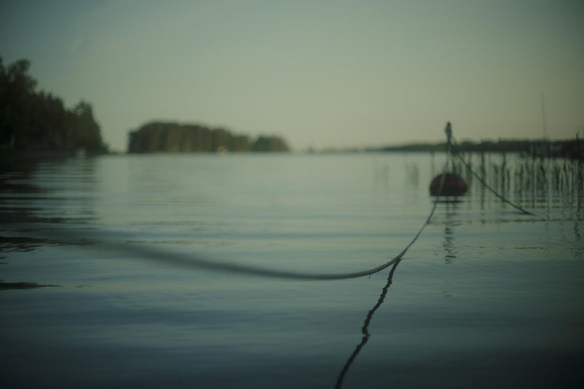 FilmConvert tweet media