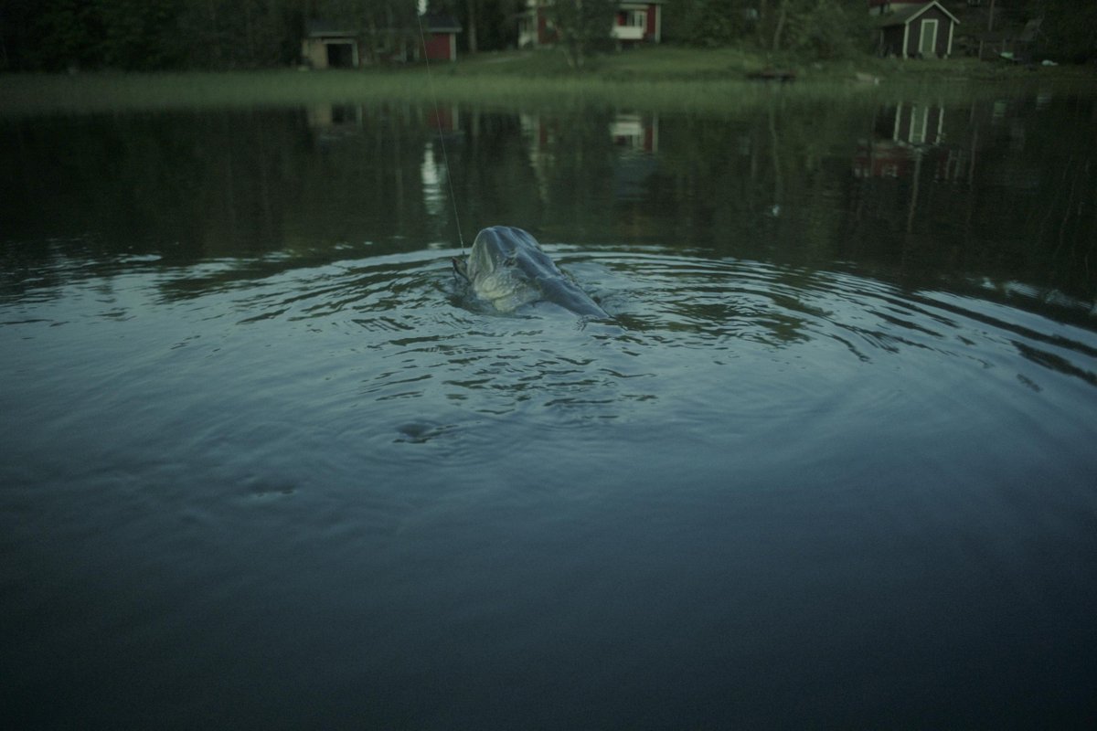 FilmConvert tweet media