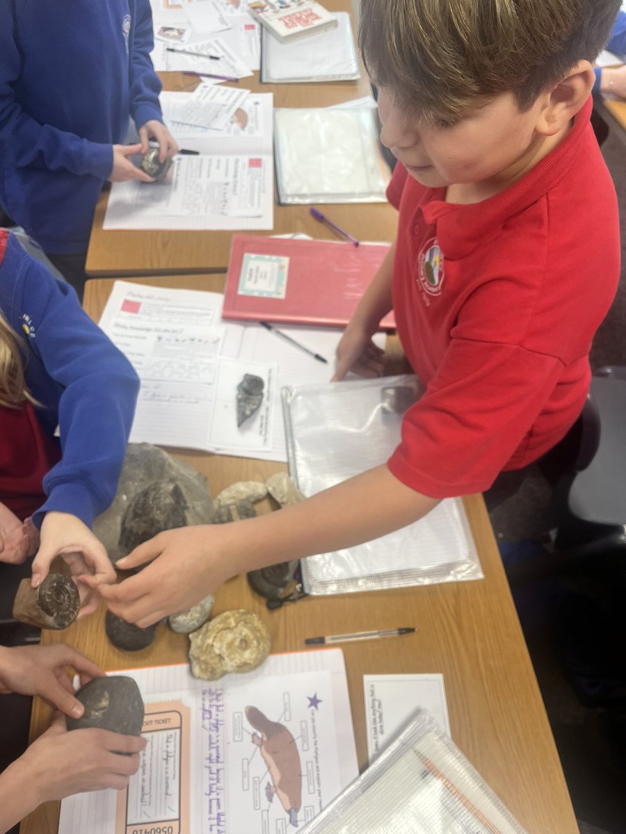 Etching Hill Primary Academy tweet media