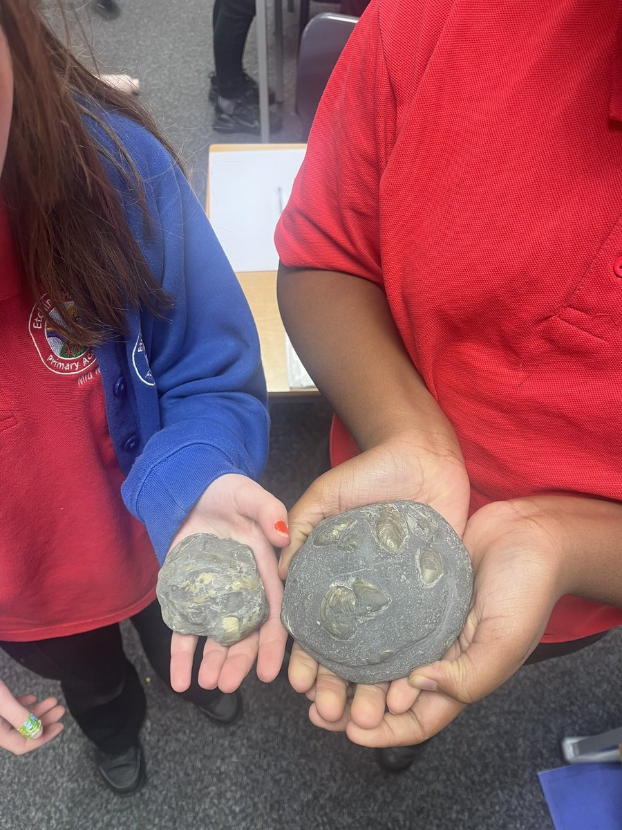 Etching Hill Primary Academy tweet media