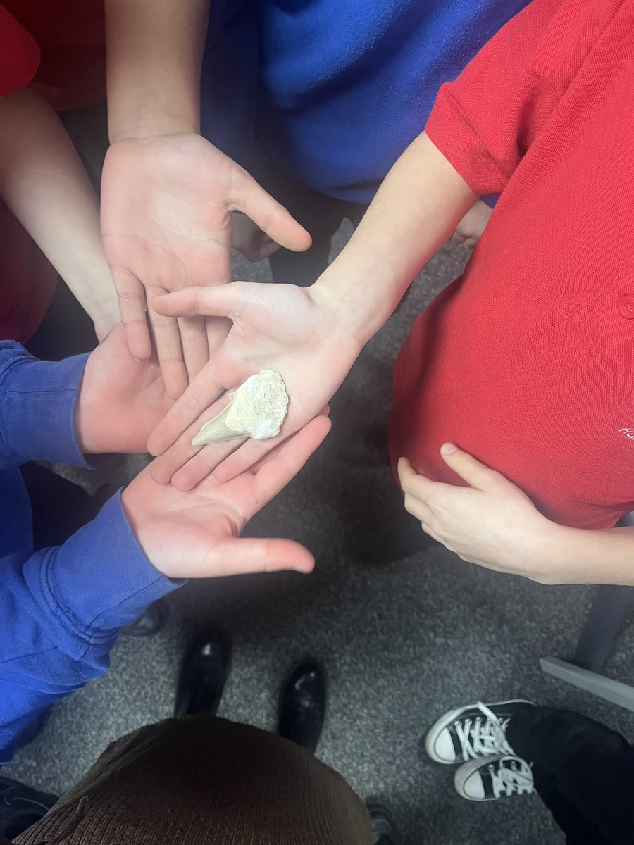 Etching Hill Primary Academy tweet media