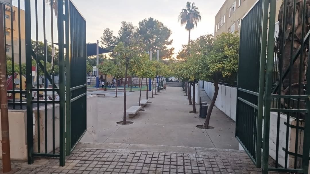 Os acordáis de la mejoras de la Plaza Amoríos #SevillaEste que anunciaron en verano.

Pues esas mejoras del <a href="/Ayto_Sevilla/">Ayuntamiento de Sevilla</a> del #PP consiste en cortar todo el arbolado 🌳 ¿por estética como en la Avda. de Torneo?
📷 imágenes del Antes y Después que tanto le gusta a <a href="/jlsanzalcalde/">José Luis Sanz</a>