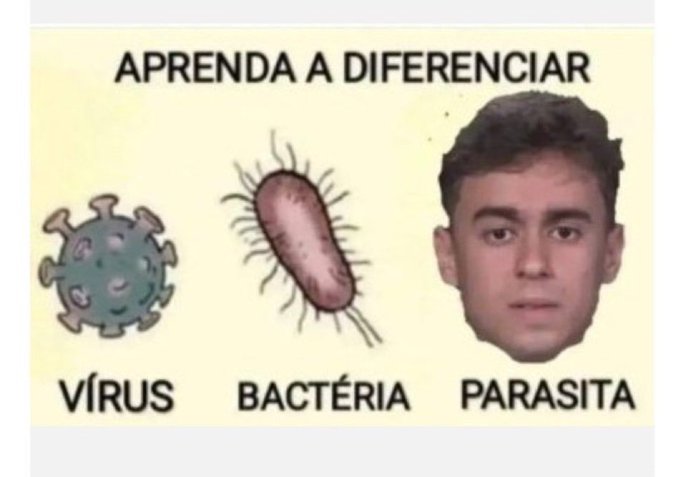 <a href="/nikolas_dm/">Nikolas Ferreira</a> O Brasil está bem acordado e te vendo defender tudo que não presta:

1. GOLPISTA
2. BLINDAGEM DE POLÍTICO SAFADO
3. BBBs (BANCOS, BETS E BILIONÁRIOS)

Além de mamar nas EMENDAS PIX e estar envolvido na investigação do BANCO MASTER e ser garoto propaganda da Igreja Lagoinha, que