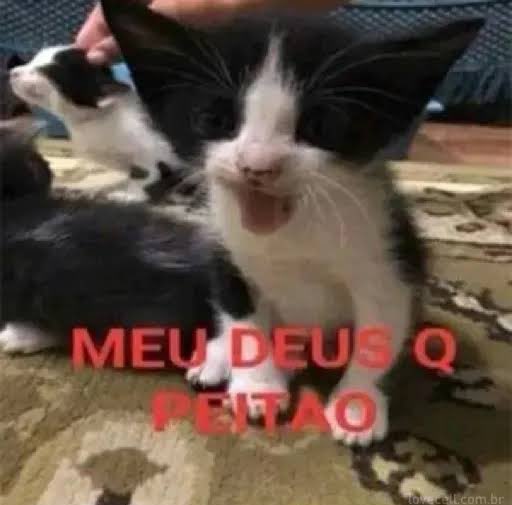 ursin_f's tweet photo. @oulucaseduardo https://t.co/MAtubB1qBQ