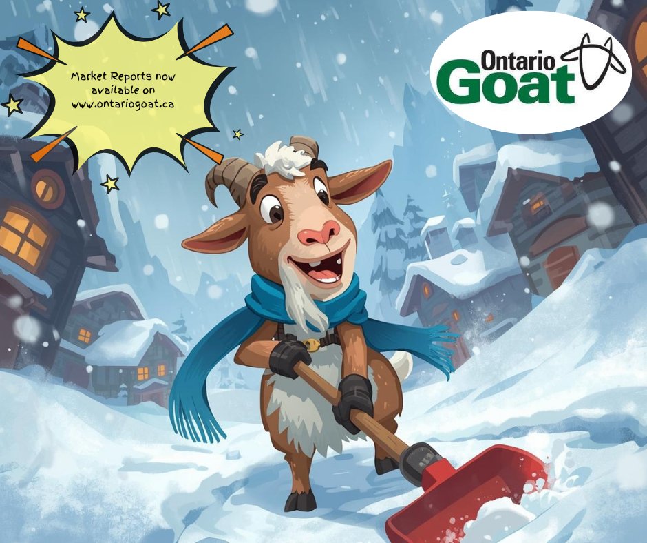 #alymersalesbarn #embrunsalesbarn #brusselssalesbarn #kawarthalakessalesbarn #OSI #olex#Gaylea #ODGC #liquidfeedsinc #ukal #wallensteinfeed&amp;supplyltd #greenoakdairyequipment#b-wfeed&amp;supply #newlifemills #midwestcoop #CFFO#CMGA #CNGF#OFA #trevorjones #johnkelly