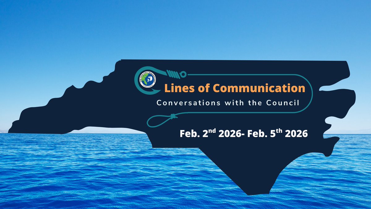 NC Division of Marine Fisheries tweet media