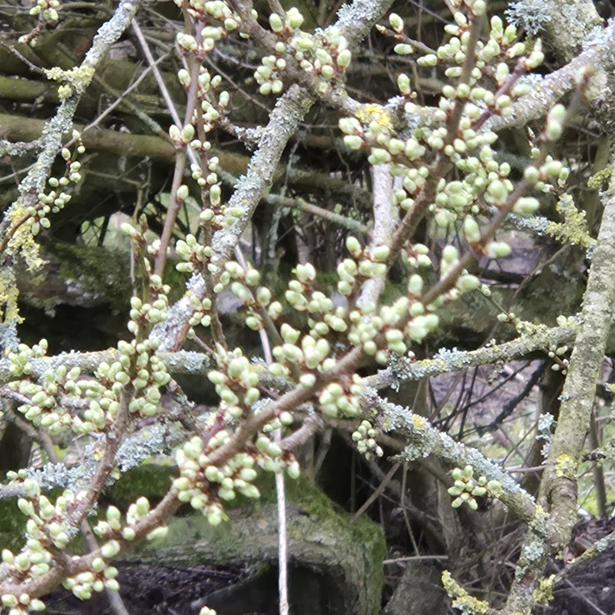 Wendy Tobitt 💙 tweet media