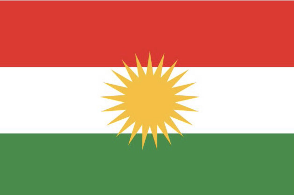 PKK destekçilerinden, gösterilerde parti bayraklarını sallamamaları ve Öcalan’ın fotoğraflarını Rojava Kürdistanı’na destek amacıyla kaldırmamalarını rica ediyoruz. Biz Öcalan ve partisinin uğruna gösteri yapmıyoruz. Biz sadece Kürdistan bayrağı altında gösteri yapıyoruz ve