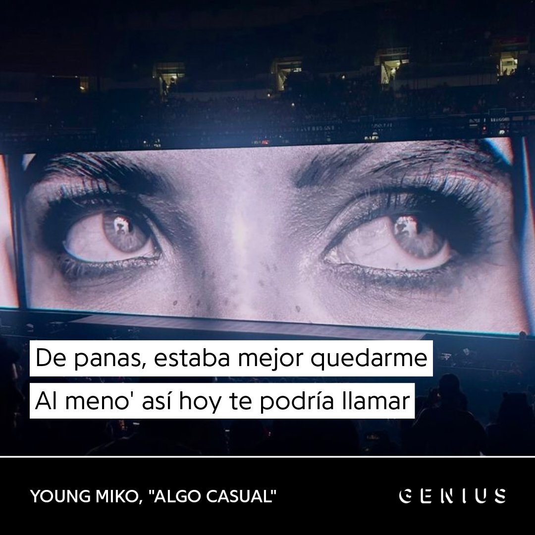 juditthgalleego's tweet image. 