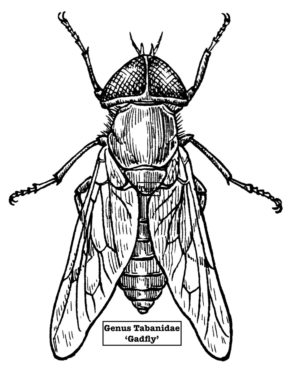 AnglicanismOrg's tweet photo. We have published a new article on our website : GADFLY Paul Oestreicher reflects on being a gadfly 📷 You can view it from this link : https://t.co/2oysKwmvj5
With thanks from the Editor, https://t.co/aXUAgmP0L1 https://t.co/F6MPwPKmbJ