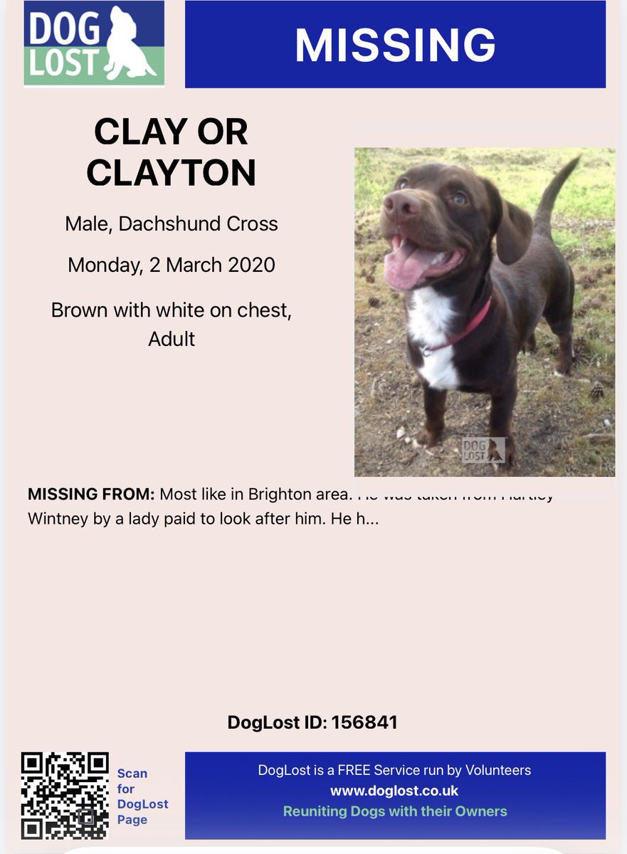 VetsGetScanning's tweet image. Hi I’m still looking for my dog he was stolen in 2020, Monday, 2nd March, during Covid lockdown. 

Believed to be in #Brighton, sold without permission 💔

He was taken from Hartley Wintney by a lady paid to look after him. He has been rehomed or sold without consent. The new…