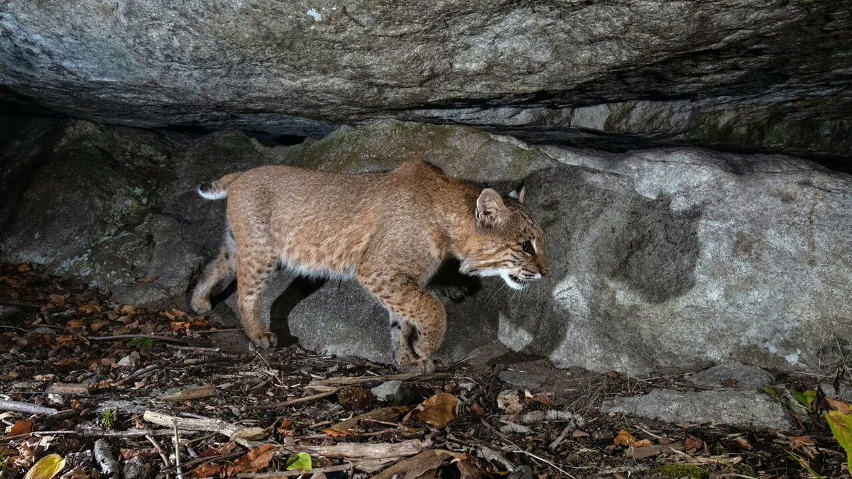 Natural Resources Research Institute at UMN tweet media