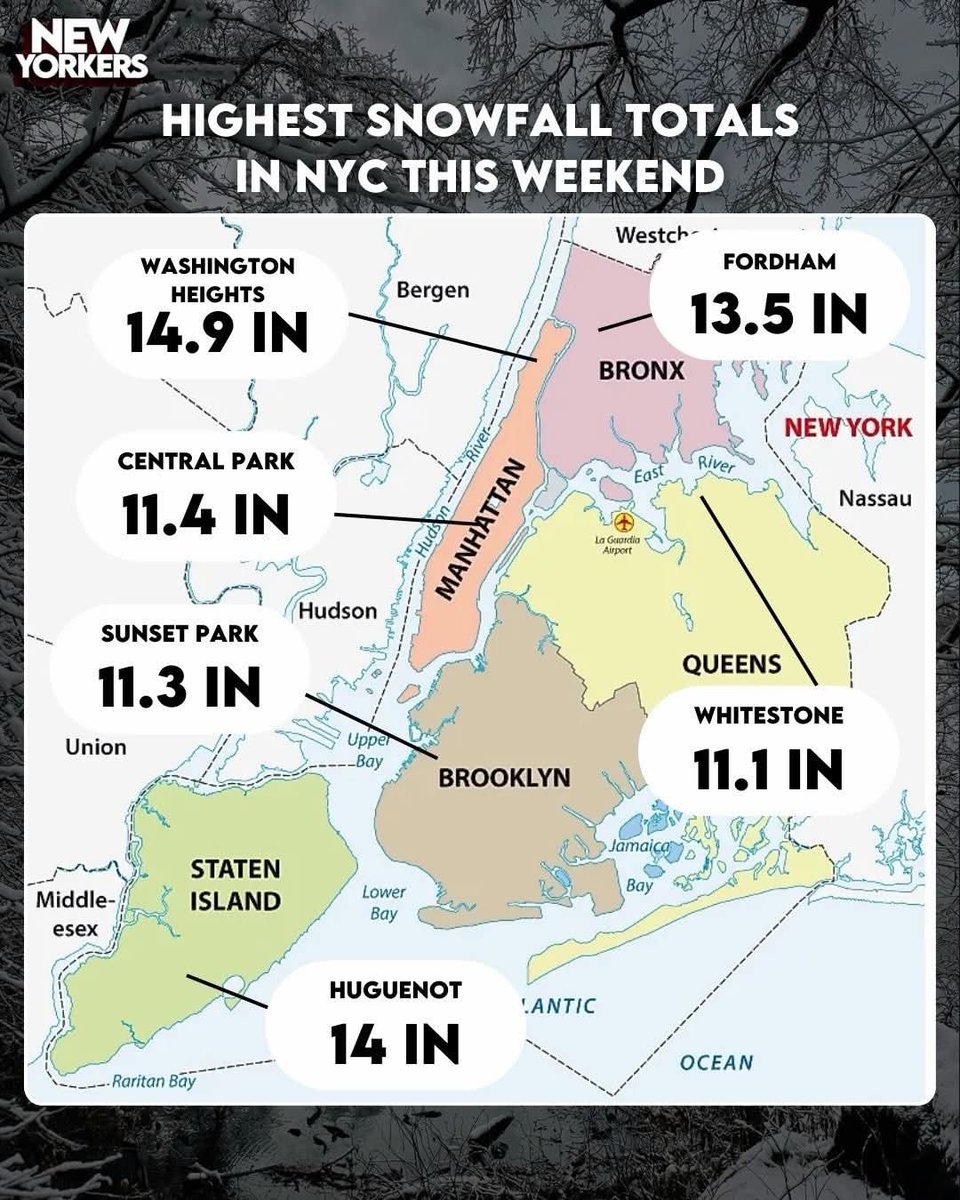 Well...Staten Island almost came in first place among the boroughs for something. 🤷🏾‍♂️

Not that we'd want to be first on this particular list. 🥶❄️

P.S. I definitely don't see 14 inches of snow outside of my window and the view from my living room is pretty extensive. 🤔